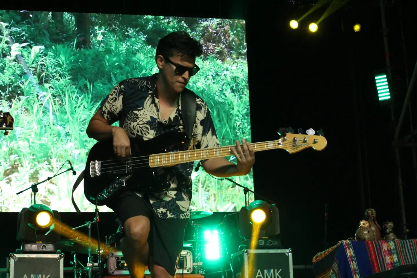 Fernando Sánchez músico